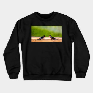 A Pair of Barn Swallows Arguing Crewneck Sweatshirt